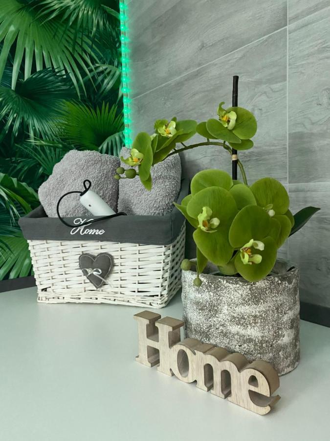 Ferienwohnung Erfurter Rose Exteriör bild